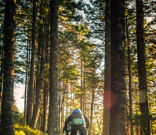 2023년, 최신 운동 트렌드로 떠오르는 5가지 화제