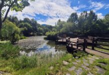 도심 속 휴식처 ‘아름다운 도시숲’ 어디인지 봤더니…