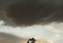 철학으로 찾는 인생의 나침반, 강서 행복한 인문학당 2 men riding horses on grass field during daytime