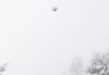 추운 날씨 속 유산소 운동과 근력 운동의 효과 비교 woman standing in front of road