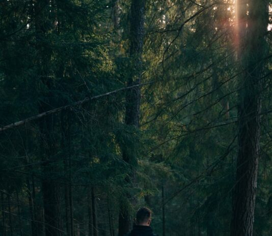 ‘번아웃’ 막고 건강 챙기기…직장인들이 주목하는 일상 속 작은 변화들 man walking near trees