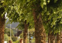 달라진 스트레스 해소법, 일상 속 작은 변화로 마음챙김 실천해보세요 man in white t-shirt walking on sidewalk during daytime