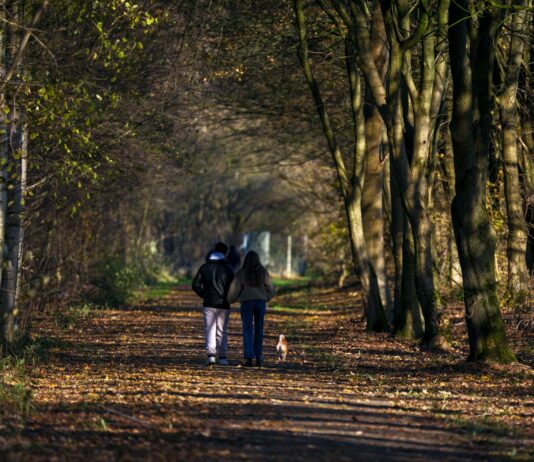 ‘걷기 챌린지’, 건강 트렌드로 자리잡다…실천 루틴과 팁 소개 Two people walking down a path in the woods
