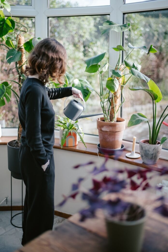 Photo by Annie Spratt a woman watering plants in a window sill
