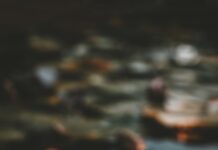 “마음 근력 키우기, 일상에서 실천하는 ‘마음챙김’ 루틴 바람” pink and white lotus flower