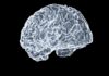 뇌도 ‘운동’이 필요하다…실생활에서 지키는 뇌건강 습관 a close up of a human brain on a black background