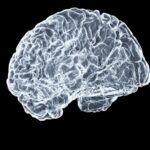 뇌도 ‘운동’이 필요하다…실생활에서 지키는 뇌건강 습관 a close up of a human brain on a black background