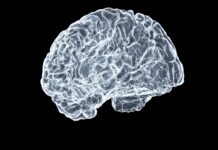 뇌도 ‘운동’이 필요하다…실생활에서 지키는 뇌건강 습관 a close up of a human brain on a black background